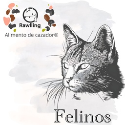 Felinos
