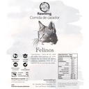 Felinos