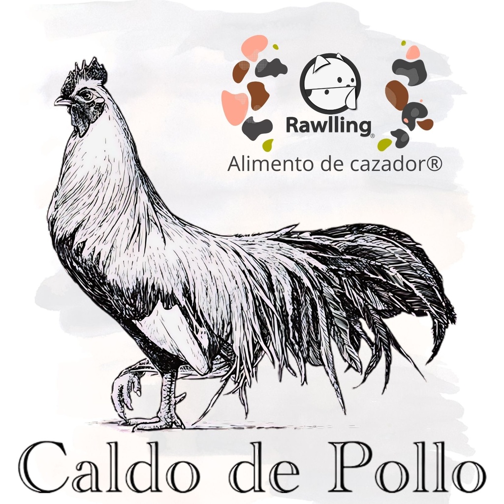 Caldo de Pollo