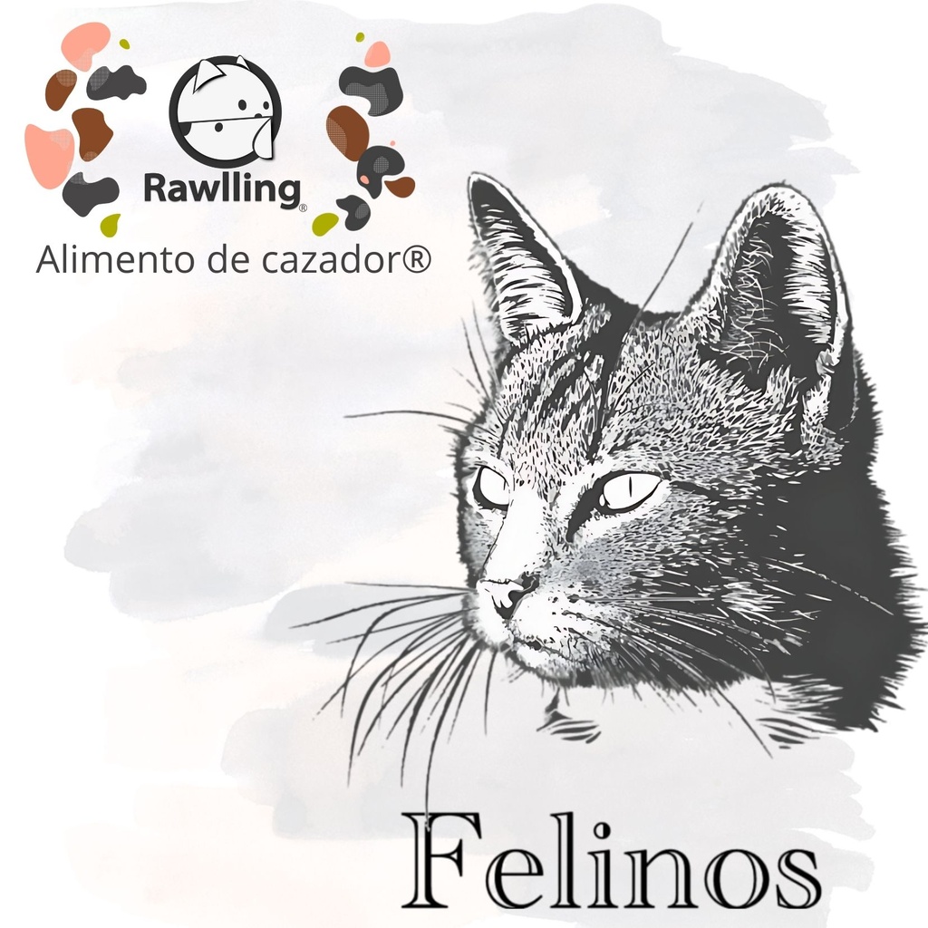 Felinos